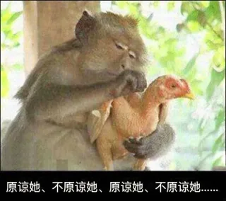 猴哥，放开那只鸡_犹豫表情包