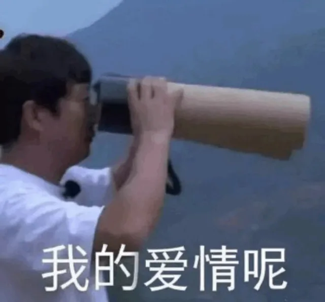 我的爱情啊