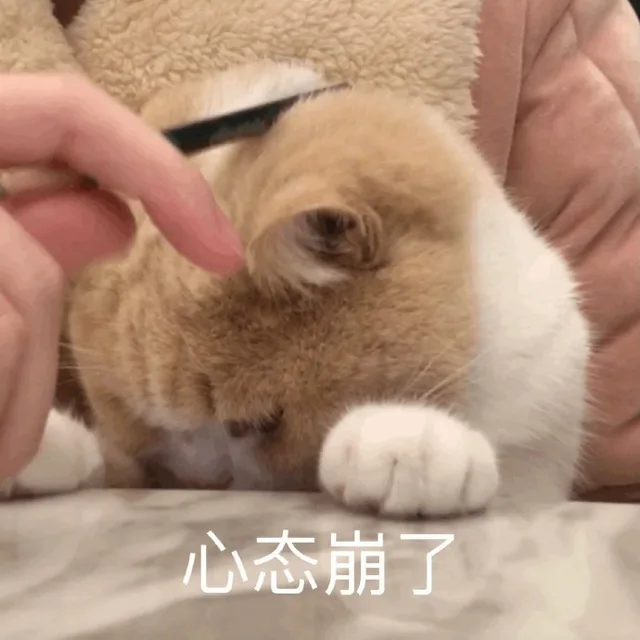 心态崩了（心态崩了）