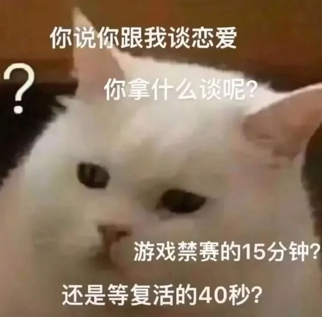 猫咪表情包 爱了 _猫咪