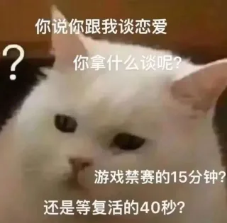 猫咪表情包 爱了 _猫咪表情包