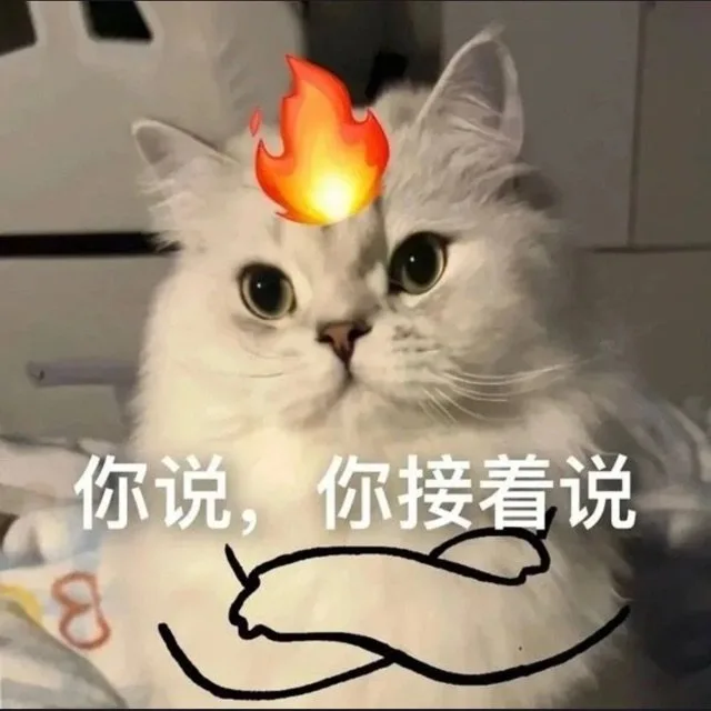 你说，你接着说8(发火猫猫表情包)（你说，你接着说8(发火猫猫表情包)）