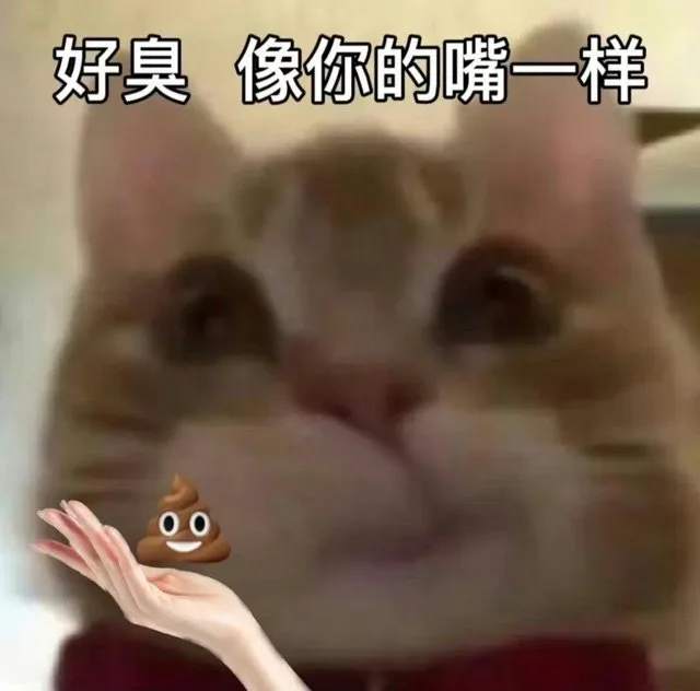 好臭像你的嘴一样（好臭像你的嘴一样）