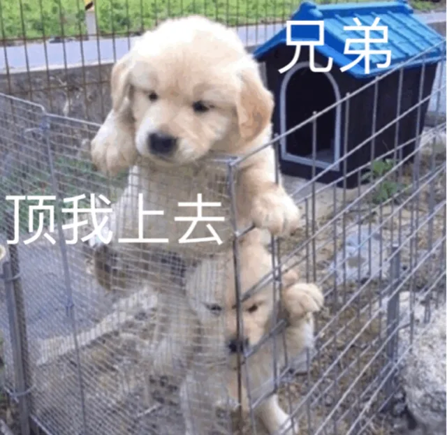 兄弟 顶我上去（兄弟 顶我上去）