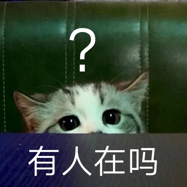 有人在吗