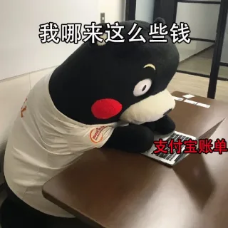 我哪来的这么些钱