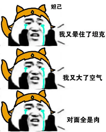 妲己我又晕住了坦克我又大了空气对面全是肉