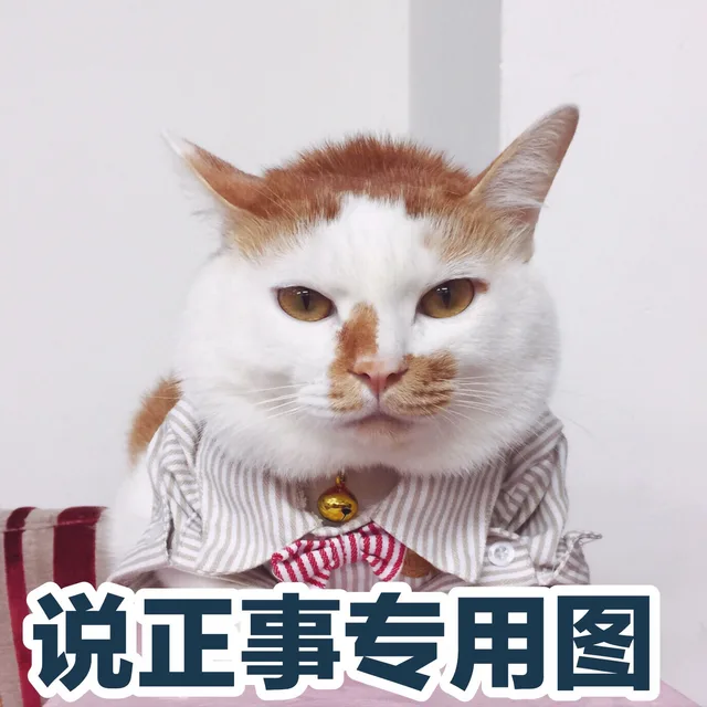 说正事专用图（说正事专用图）