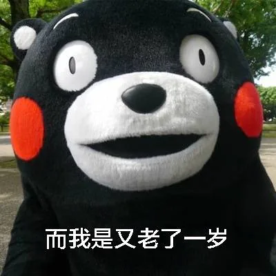 而我是又老了一岁