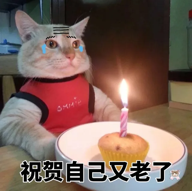 祝贺自己又老了