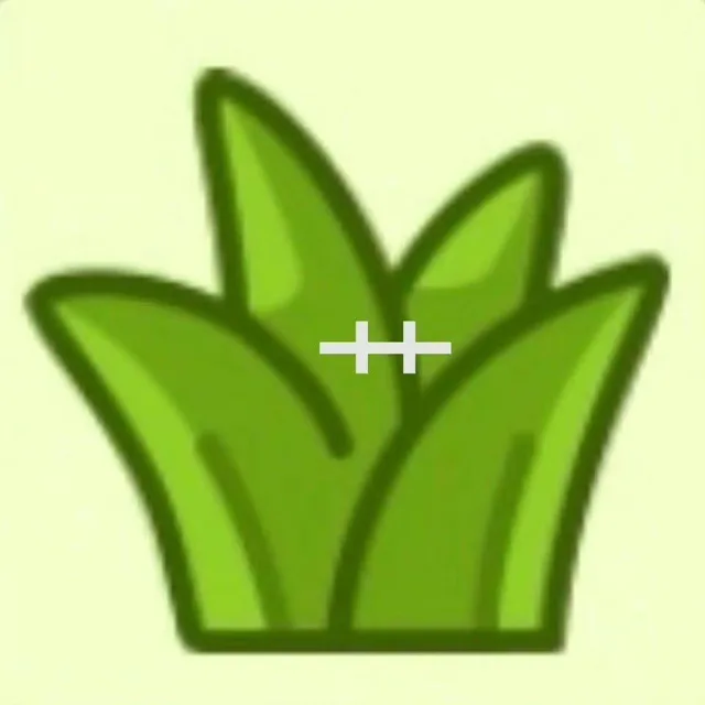 +（+）