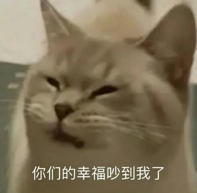 你们的幸福吵到我了（你们的幸福吵到我了）
