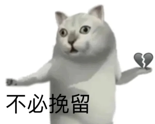 不必挽留（不必挽留）