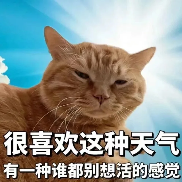 很喜欢这种天气有一种谁都别想活的感觉(太热天表情包)（很喜欢这种天气有一种谁都别想活的感觉(太热天表情包)）