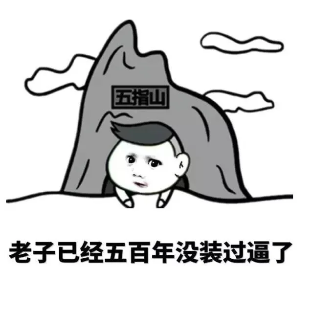 老子已经五百年没装过逼了（小孩儿）