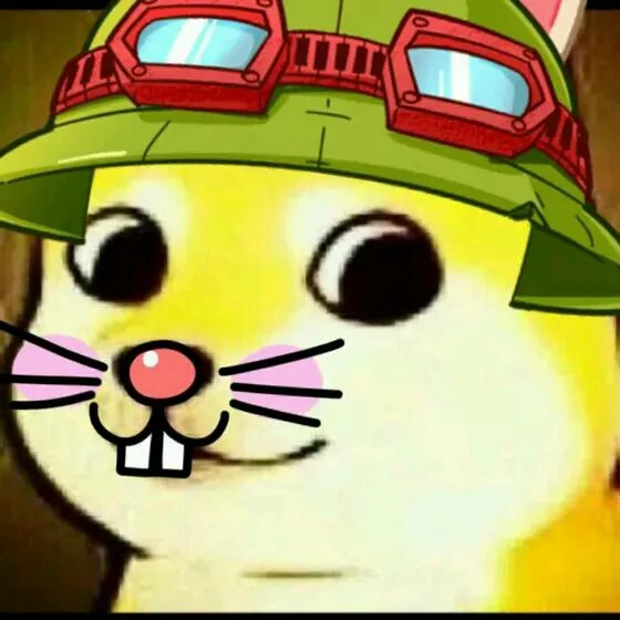 timo（timo）
