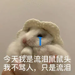 今天我是流泪鼠鼠头我不骂人,只是流泪（今天我是流泪鼠鼠头我不骂人,只是流泪）