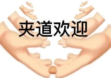 夹道欢迎（夹道欢迎）