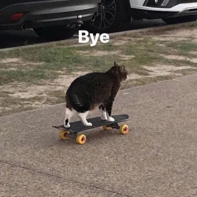 Bye（Bye）
