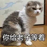 你给老子等着（你给老子等着）
