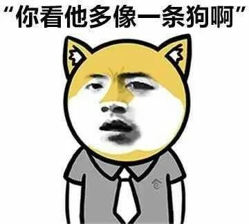 “你看他多像一条狗啊”（“你看他多像一条狗啊”）