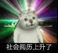 社会阅历上升了（社会阅历上升了）