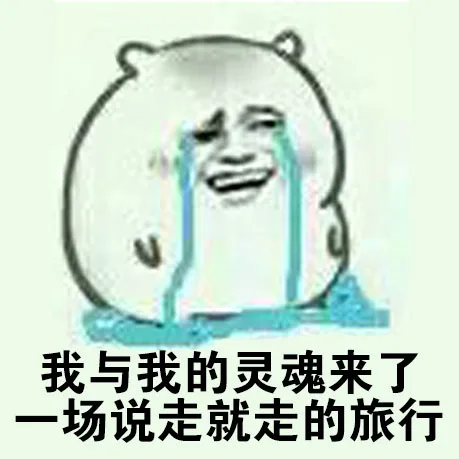 我与我的灵魂来了一声说走就走的旅行（我与我的灵魂来了一声说走就走的旅行）