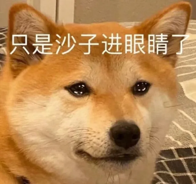只是沙子进眼睛了(狗狗流泪表情包)（只是沙子进眼睛了(狗狗流泪表情包)）