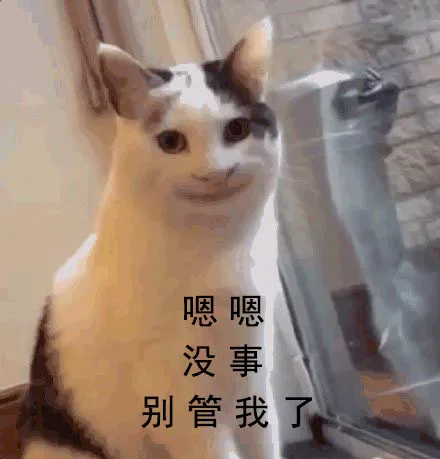 嗯嗯没事别管我（嗯嗯没事别管我）