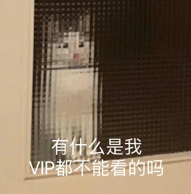 有什么是我VIP都不能看的吗（有什么是我VIP都不能看的吗）