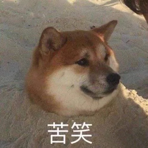 苦笑（苦笑）
