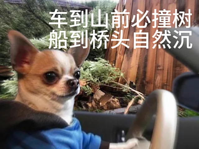车到山前必撞树船到桥头自然沉（车到山前必撞树船到桥头自然沉）
