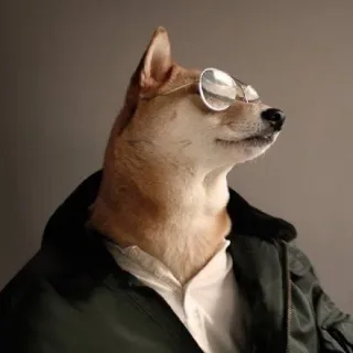 全世界最时尚的狗子，Chic_Chic_狗子_萌萌哒表情包