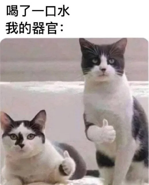 喝了一口水我的器官：（喝了一口水我的器官：）