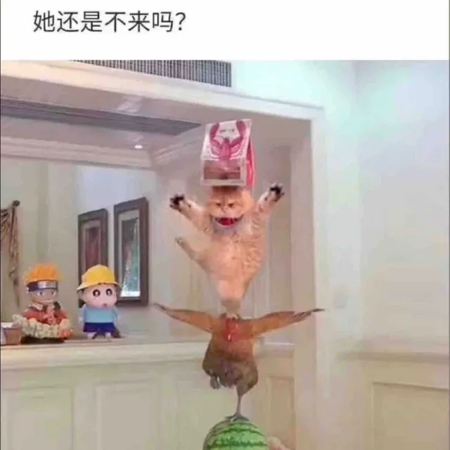 她还是不来吗？（她还是不来吗？）
