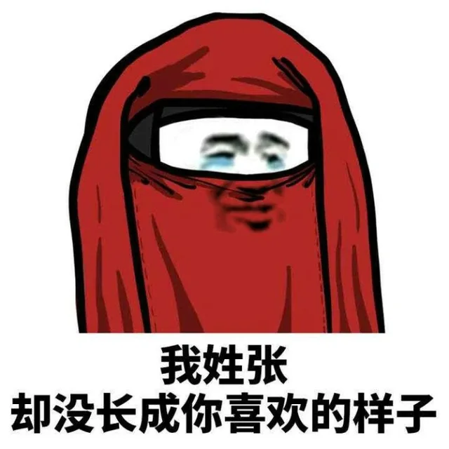 我姓张却没长成你喜欢的样子（我姓张却没长成你喜欢的样子）
