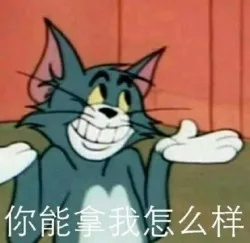你能拿我怎么样