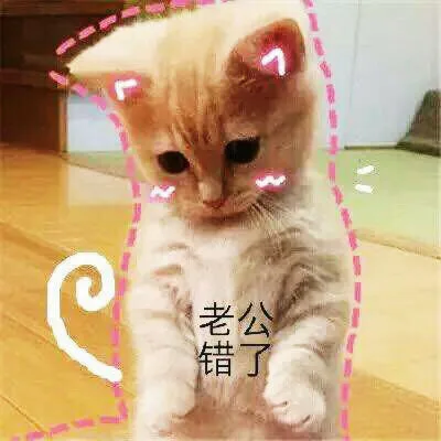 老公，我错了（老公，我错了）
