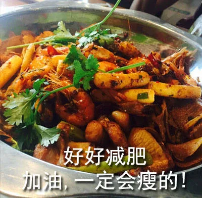 好好减肥加油,一定会瘦的!