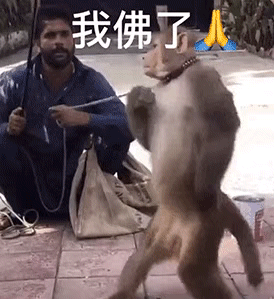 我佛了