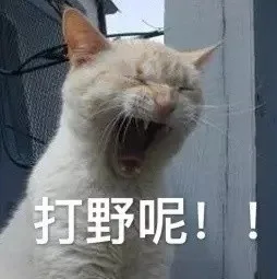 打野呢！