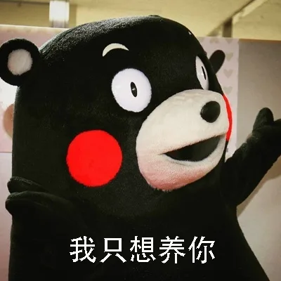 我只想养你