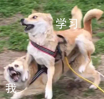 学习把我安排得明明白白