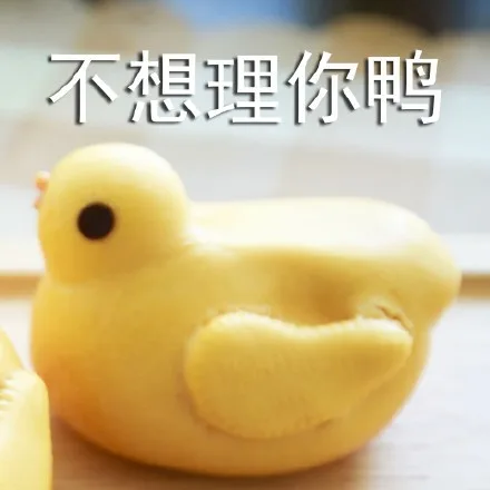 不想理你鸭（不想理你鸭）