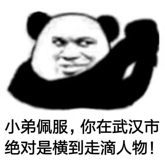 小弟佩服，你在武汉市绝对是横到走滴人物！（小弟佩服，你在武汉市绝对是横到走滴人物！）
