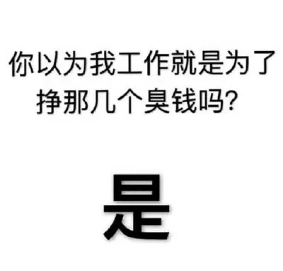 你以为我工作就是为了挣那几个臭钱吗?是