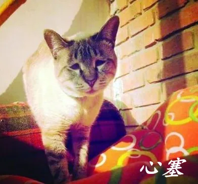 心塞啊