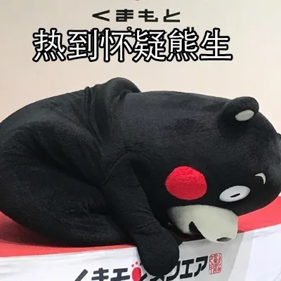 热到怀疑熊生（热到怀疑熊生）