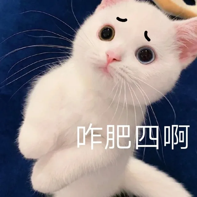 咋肥四啊（咋肥四啊）