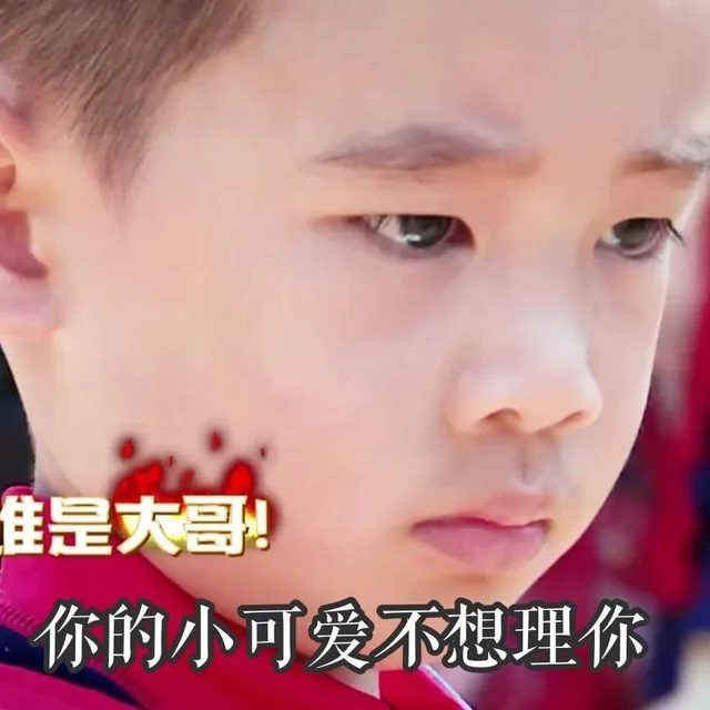你的小可爱不想理你